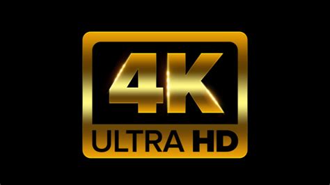 porn.hd video|4K Porn Ultra HD